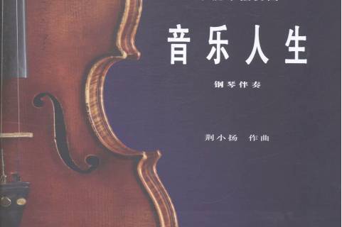 音乐人生:小提琴独奏曲