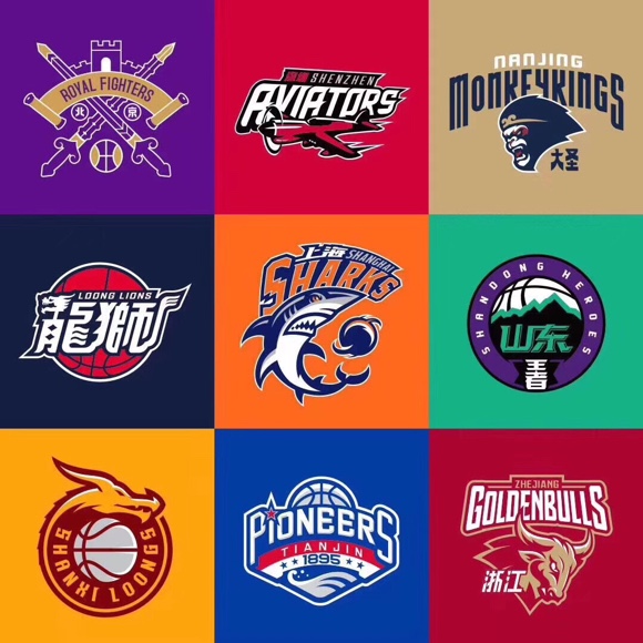 中国男子篮球职业联赛