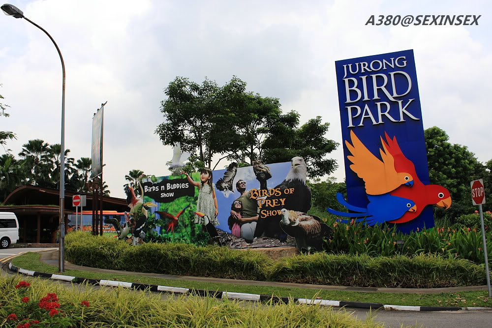  p>裕廊飞禽公园(jurong bird park)坐落在 a target="_blank" href="