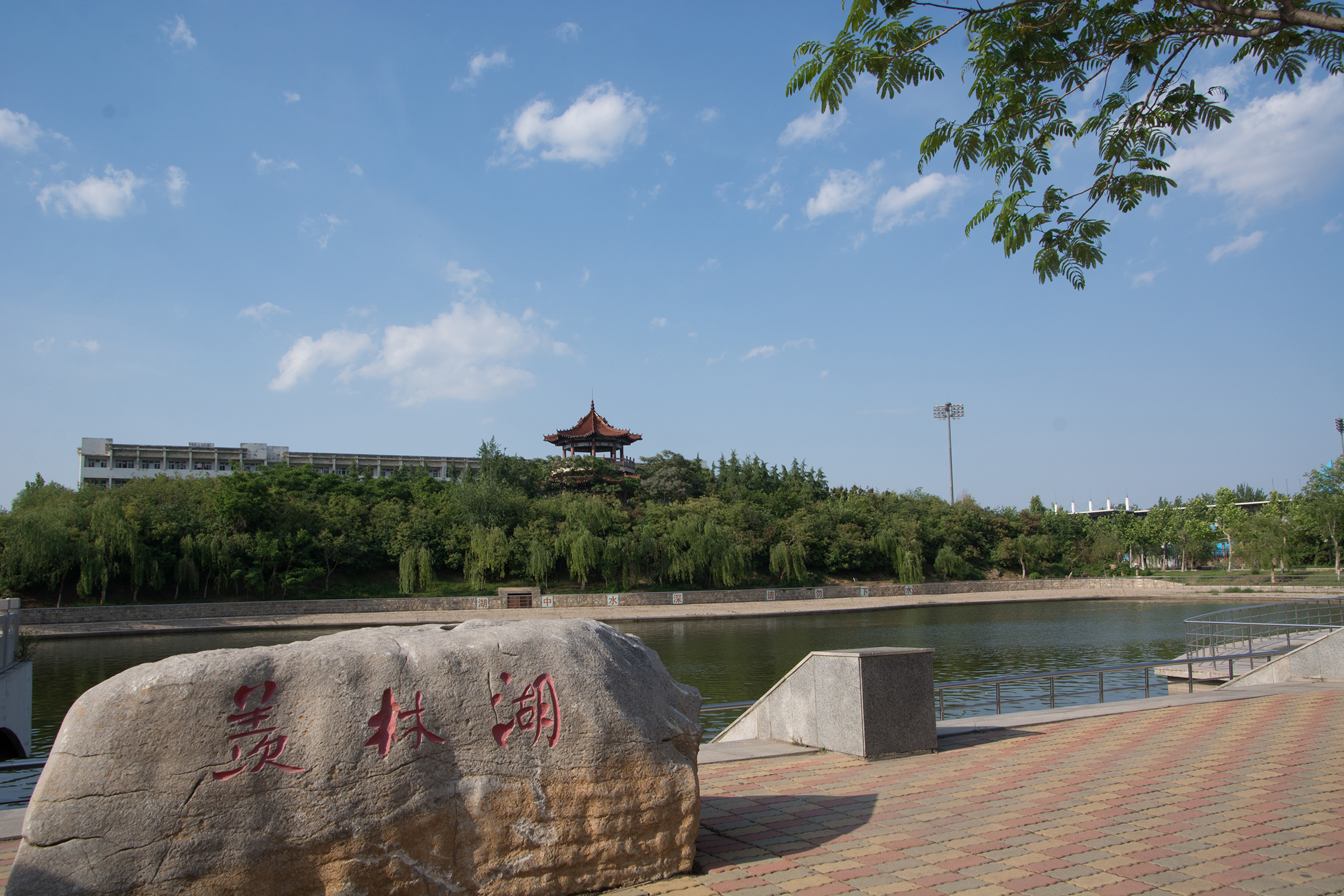 聊城师范学院