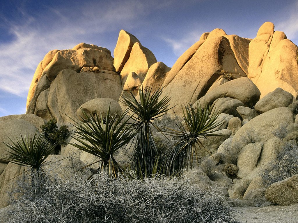  p>约书亚树国家公园(英语:joshua tree national park)坐落于 a