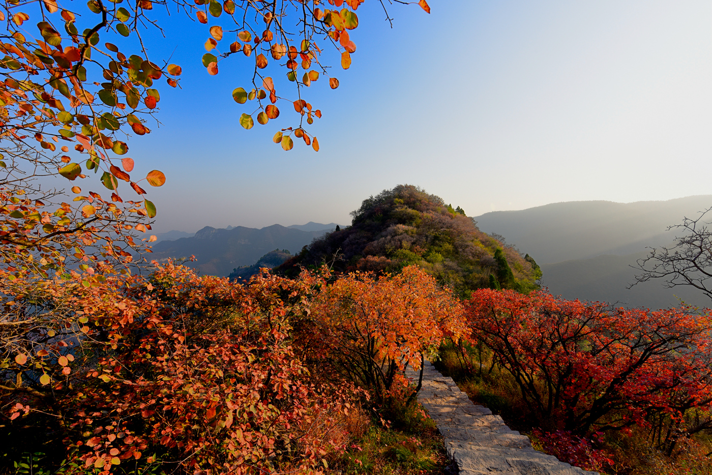 仙台山