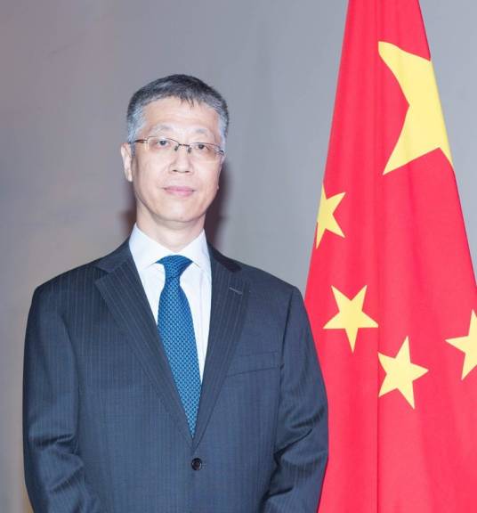 魏强（欧美同学会拉美分会第七届理事会会长）_百度百科