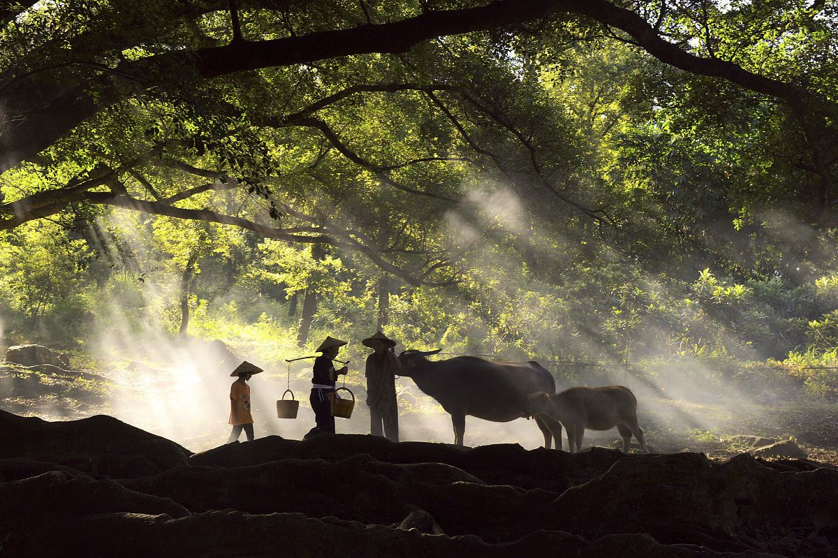 杨家溪风景区