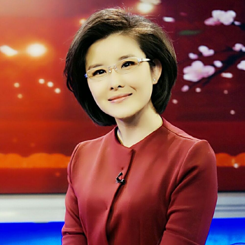王宁（中央广播电视总台新闻频道主持人、制作人、记者）_百度百科