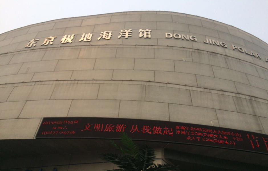 3亿多元,筹建开封东京极地海洋馆.