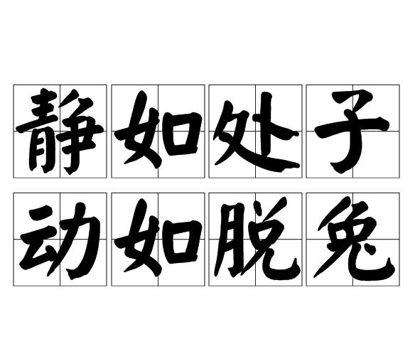 静如处子,动如脱兔