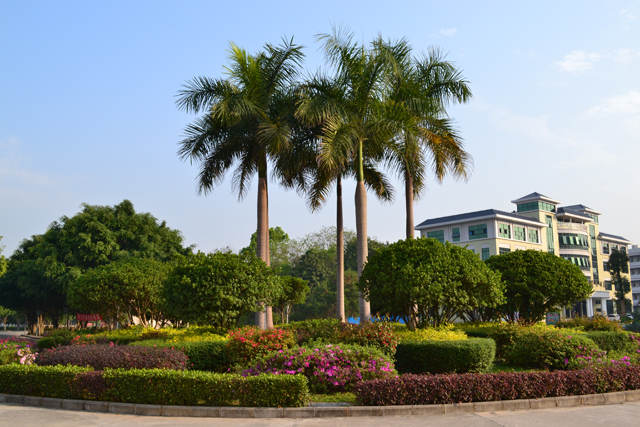 云浮市云浮中学