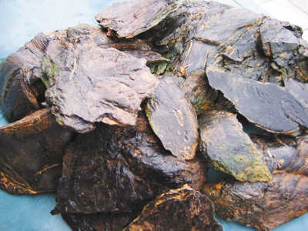  p>油页岩(又称油母页岩)是一种高灰分的含可燃有机质的沉积岩.