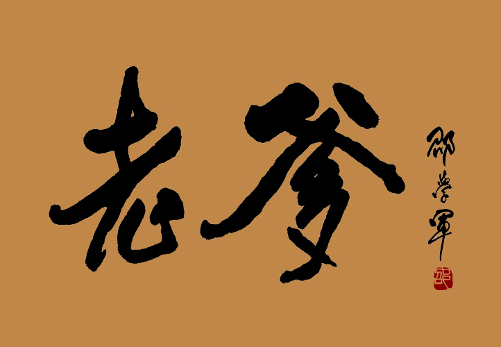 老爹