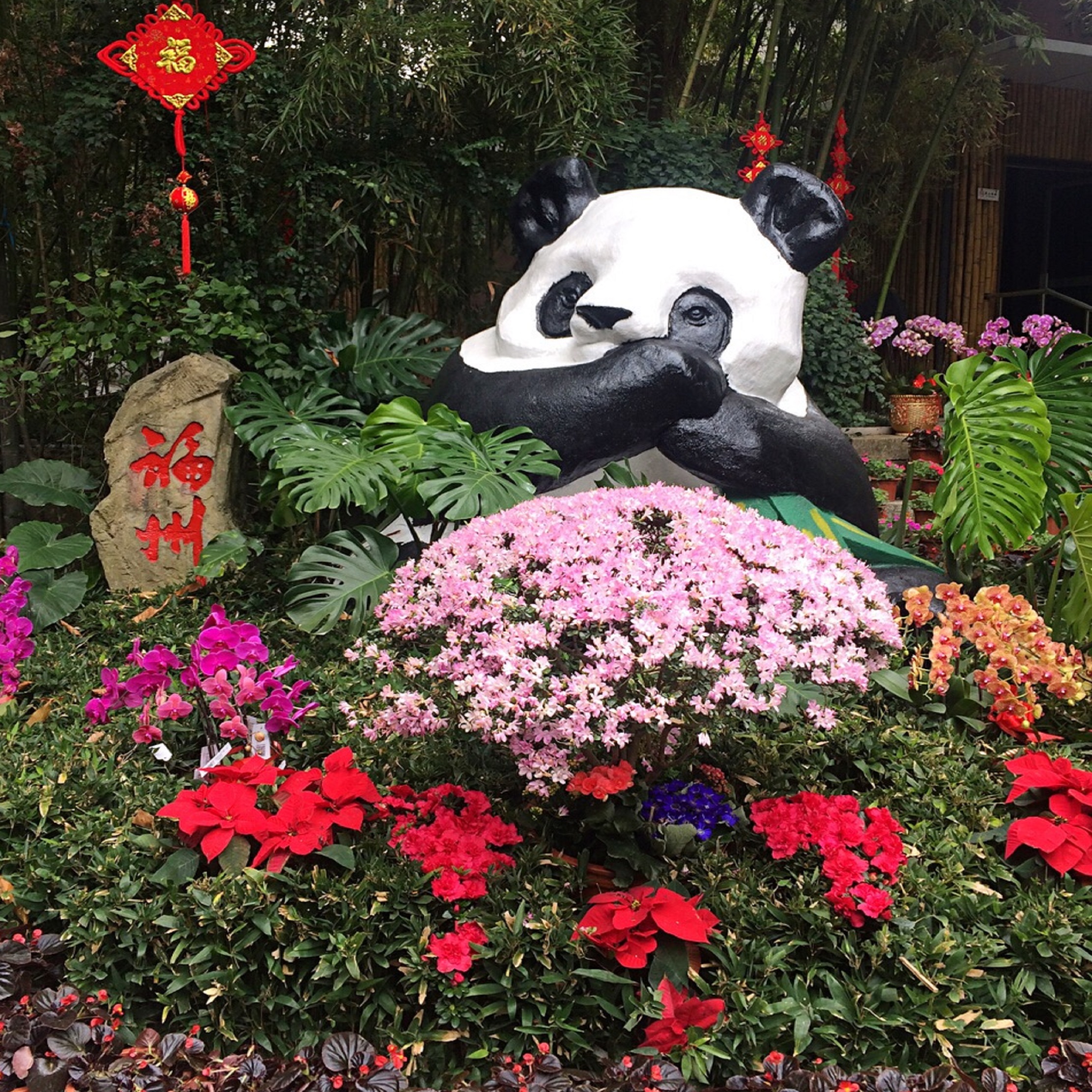  p>福州熊猫世界,又名海峡( a target="_blank" href="/item/福州