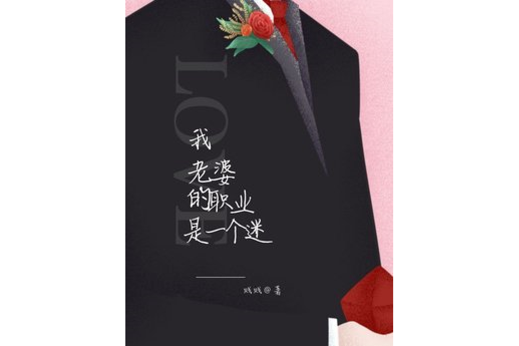 我老婆的职业是个谜