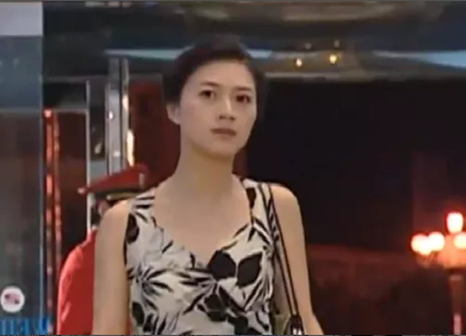  p data-id="tk7lrv9cafus">国宝灵,女,是反腐剧《人大主任》中的人物