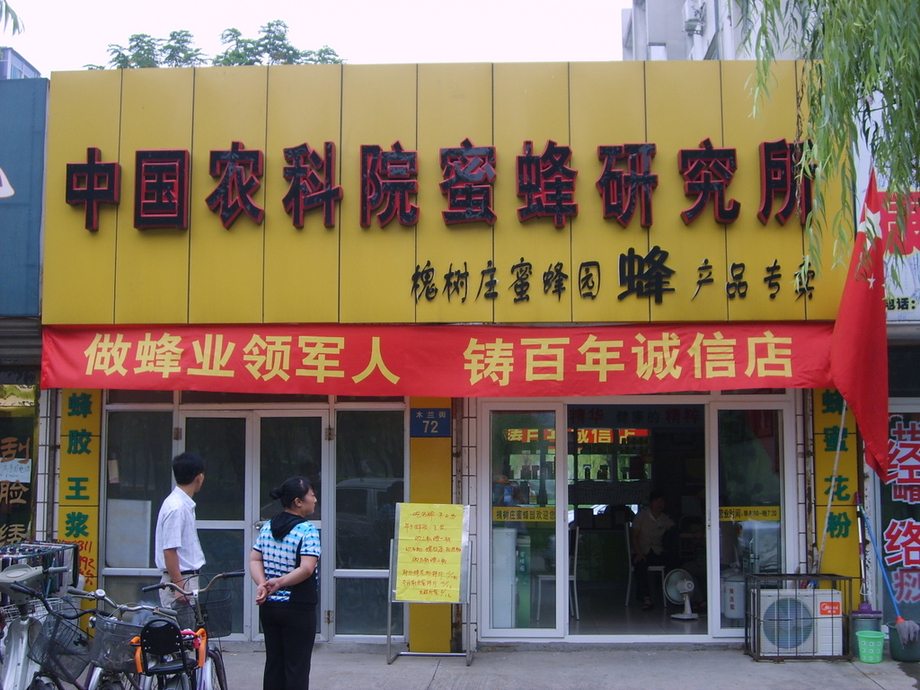槐树庄蜜蜂园