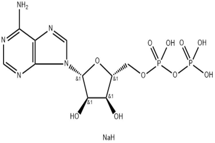 腺苷-5-二磷酸一钠盐