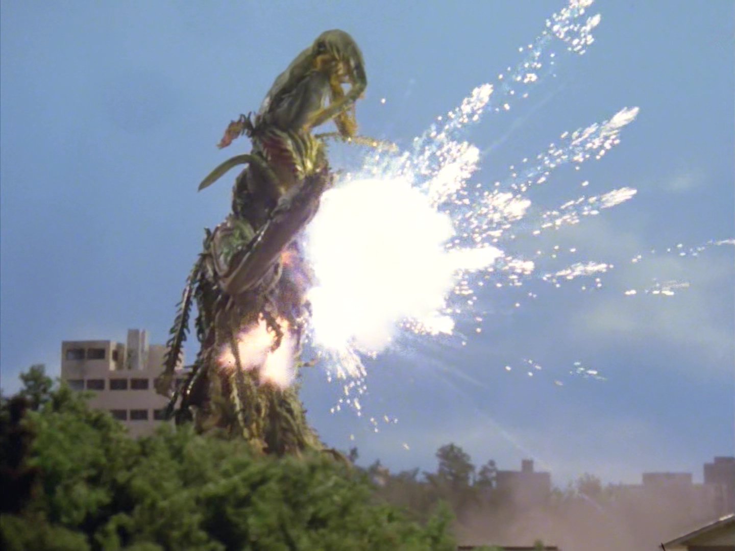 仿植物怪兽佐拉