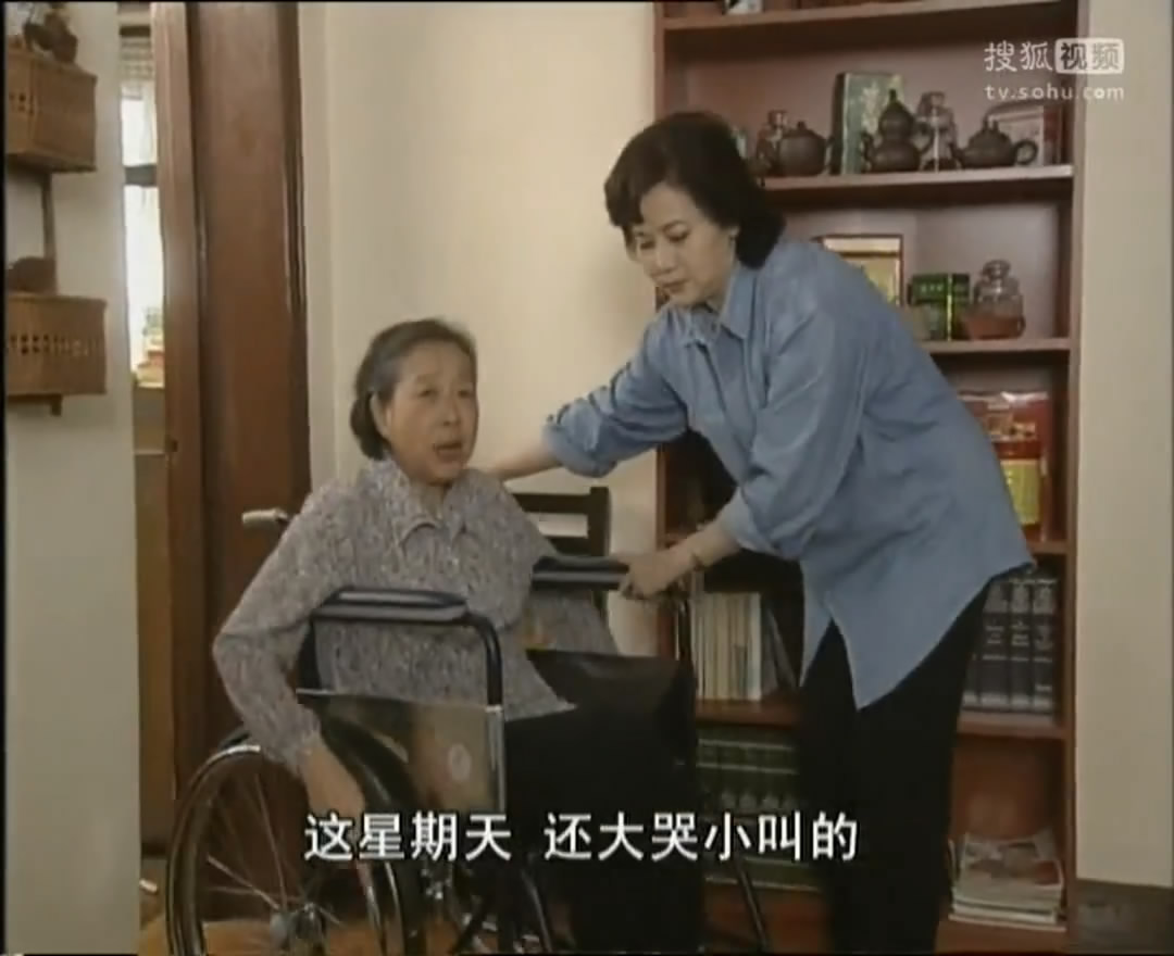 田教授家的二十个保姆