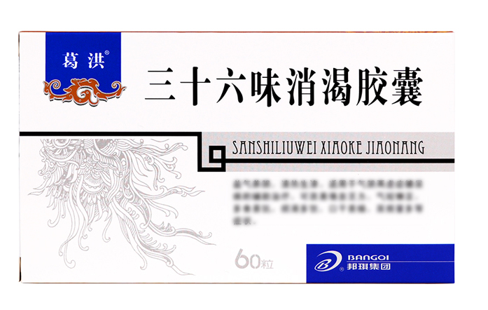 三十六味消渴胶囊