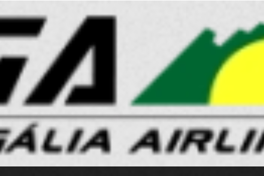 葡萄牙航空运输公司