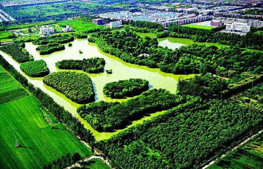  p>迪沟生态湿地公园位于安徽阜阳颍上县. /p>