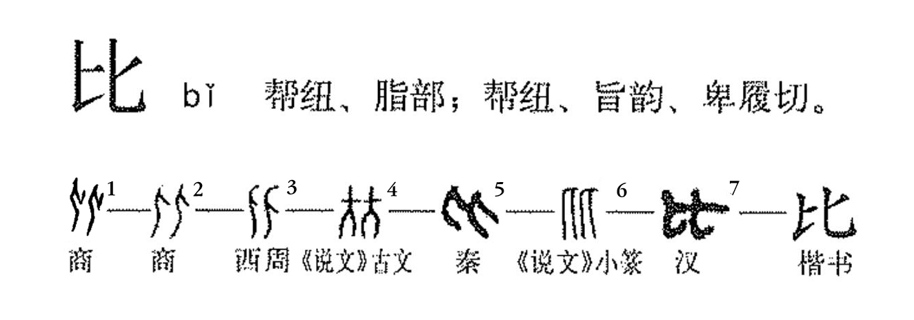 p data-id="gnx14cyou9">比(拼音:bǐ)是汉语一级通用规范汉字(常用
