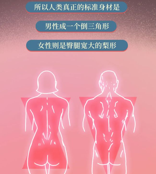 胯宽