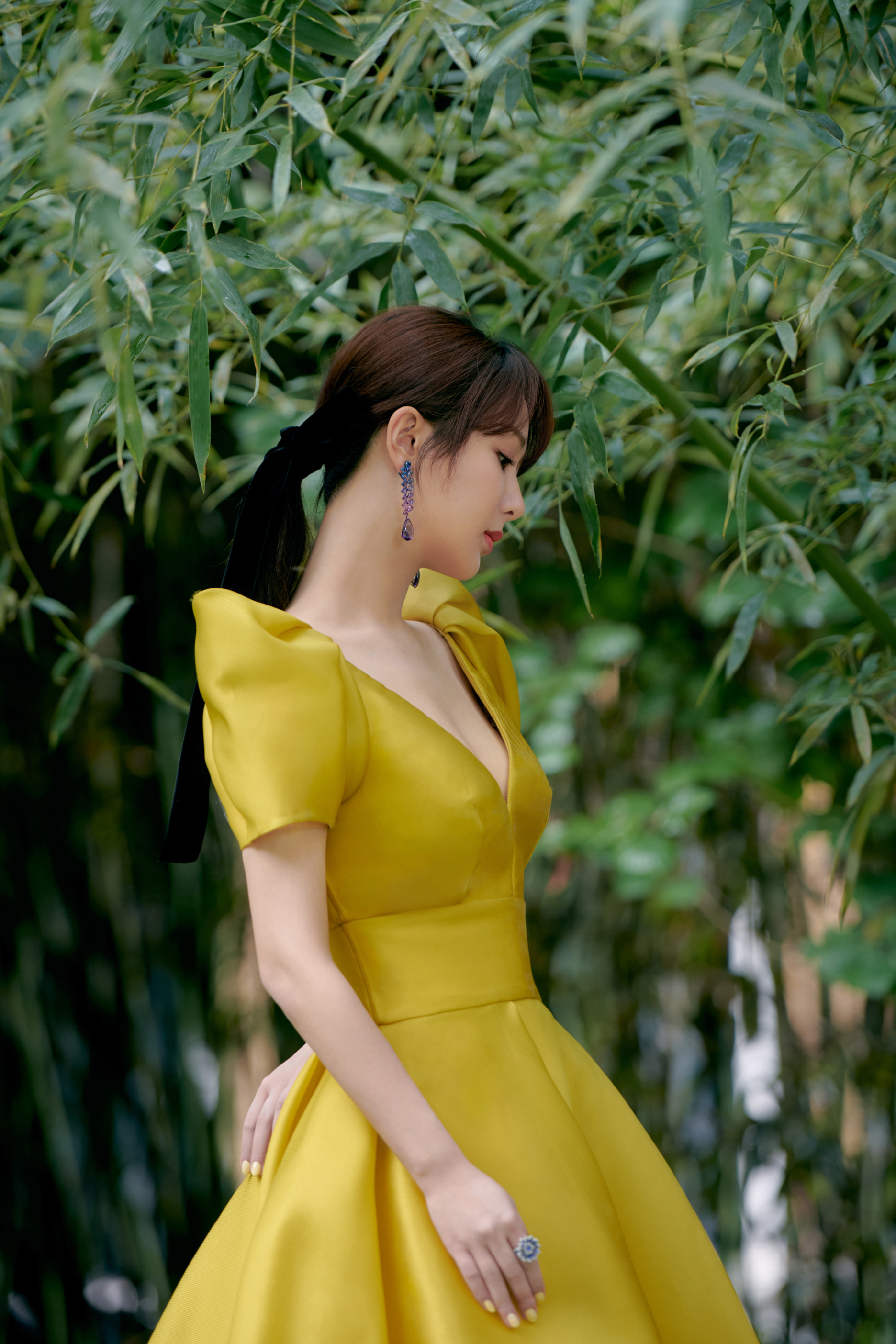 杨紫