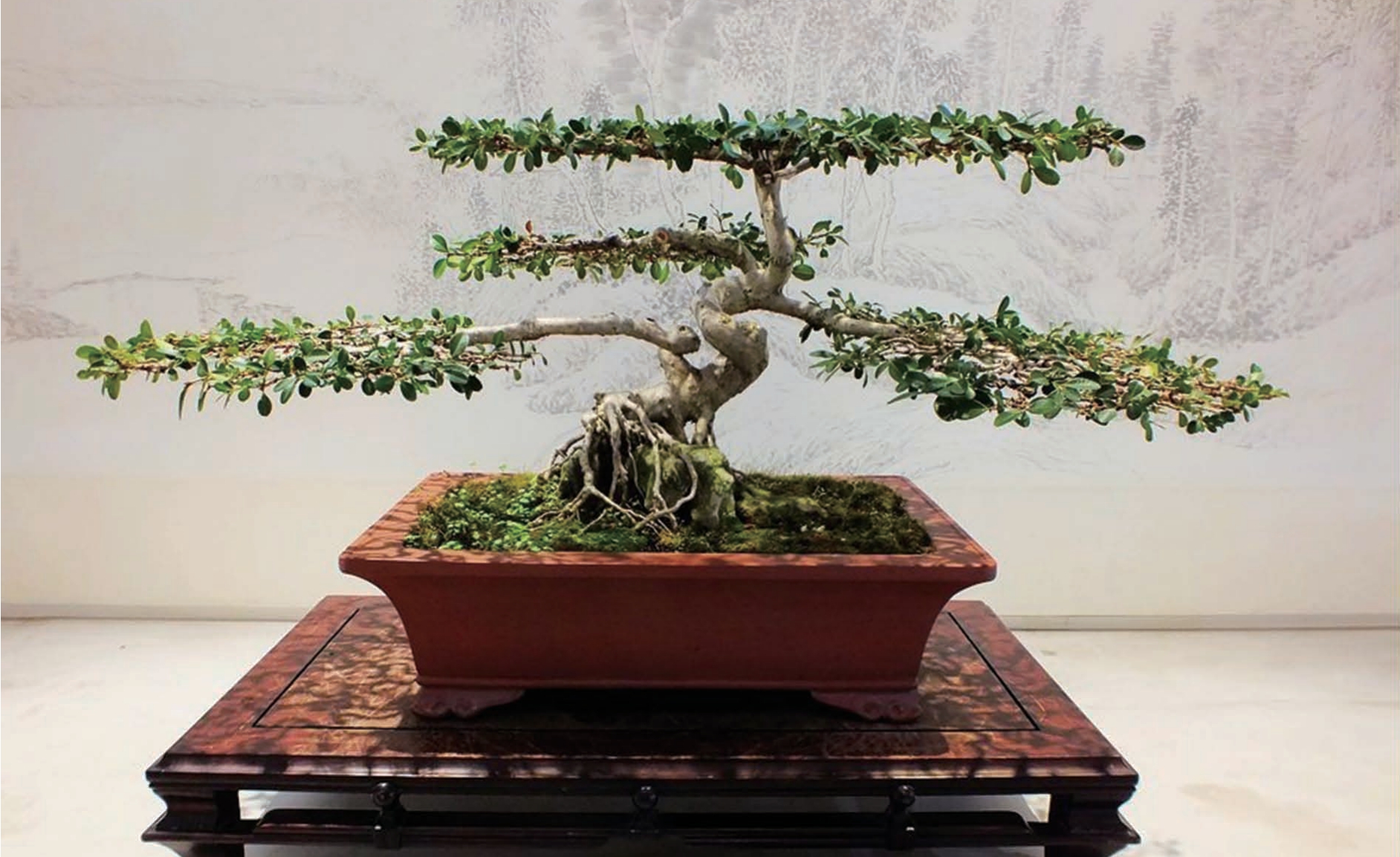 盆景技艺(扬派盆景技艺)