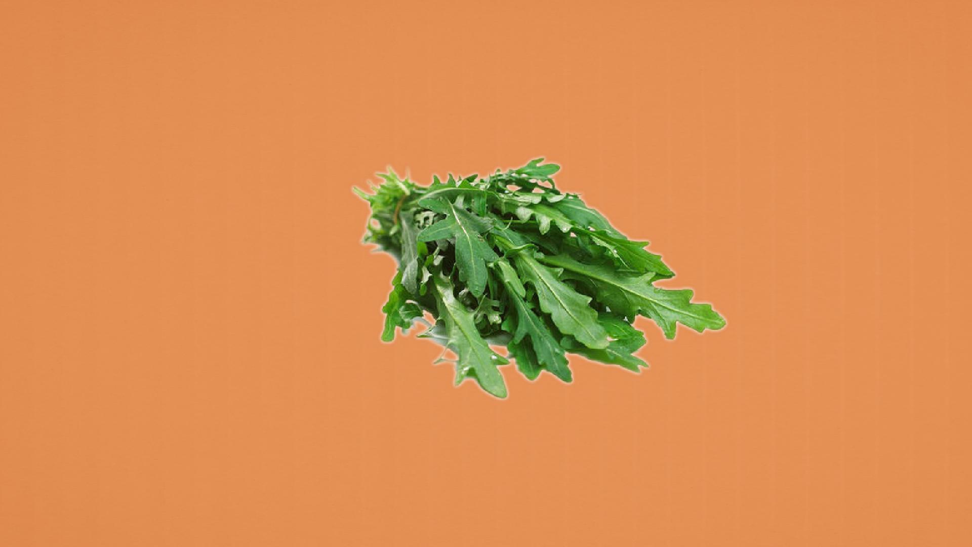 一分钟了解芝麻菜