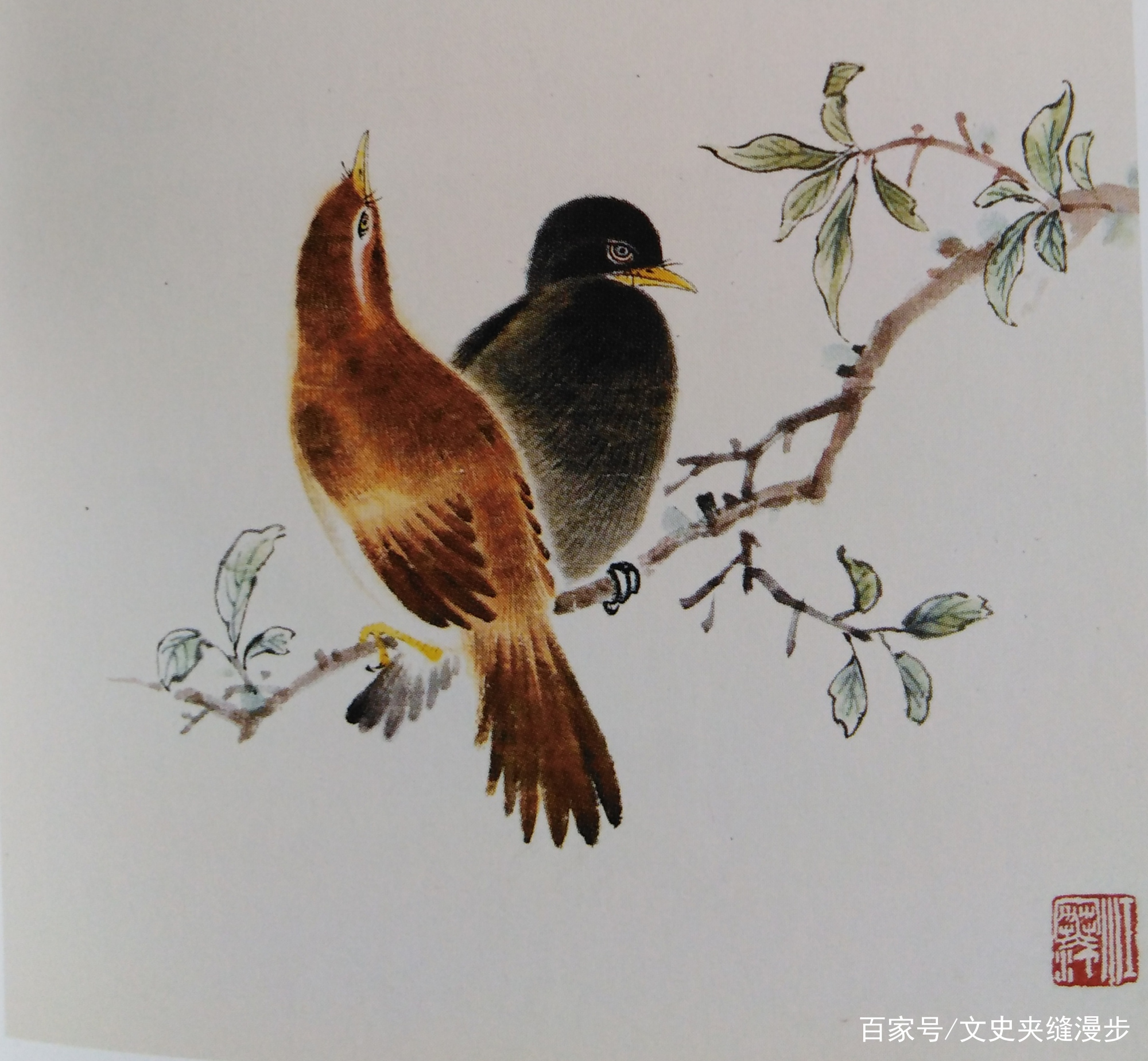 近现代画家江寒汀、黄胄、唐云等花鸟画作品欣赏_百科TA说