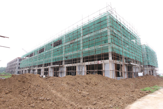  p data-id="gn7zdm1sgt">龙集是江苏省睢宁县和泗洪县等地都有同名的