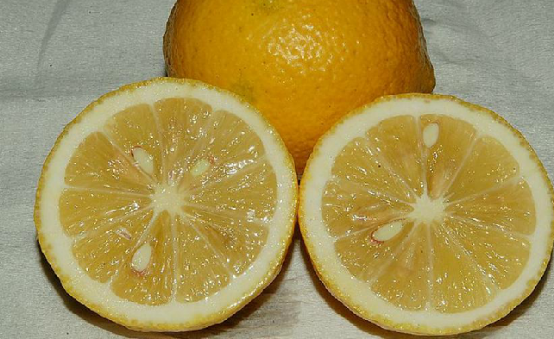柠檬皮
