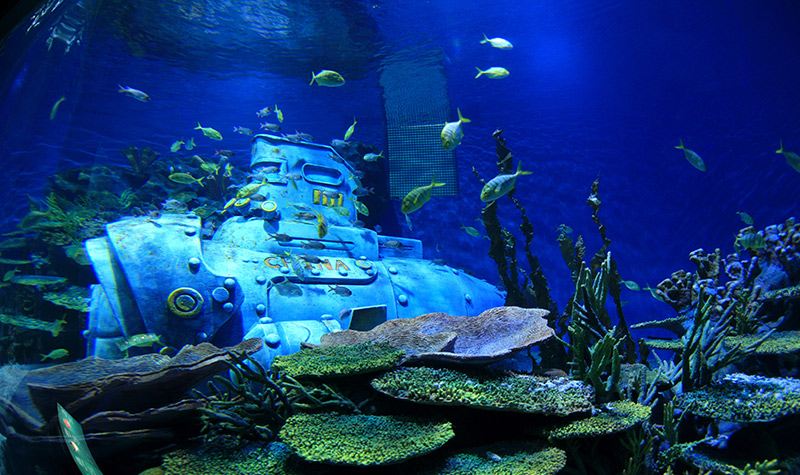  p>武汉海昌极地海洋公园是 a target="_blank" href="/item/海昌集团