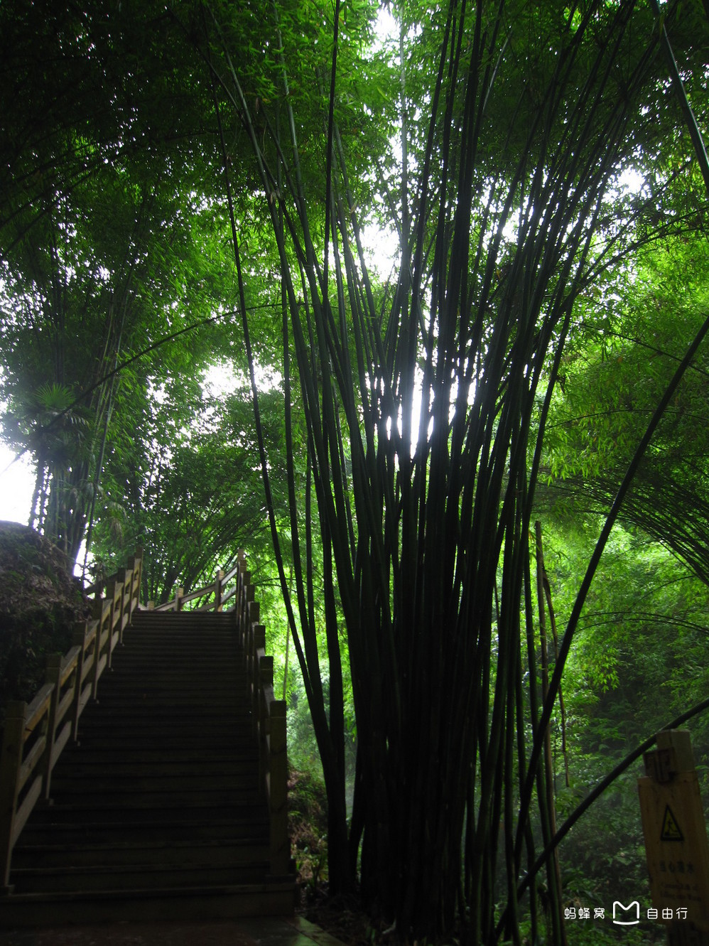 凤栖山景区