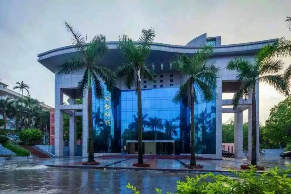 湛江艺术学校