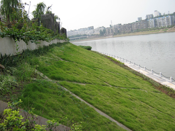  a href="#" data-lemmaid="12979389">植被混凝土 /a>","植生混凝土"