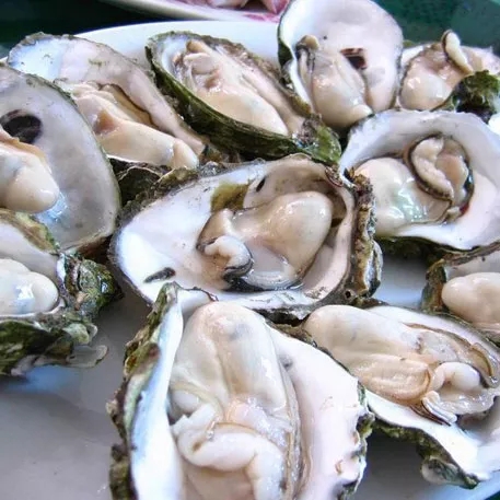  p data-id="go0dvlcn2p">湛江海鲜是指广东湛江市的海产品,该地的