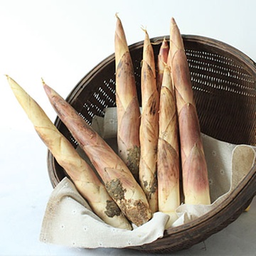  p>溪口雷笋,浙江省宁波市 a target="_blank" href="/item/奉化区