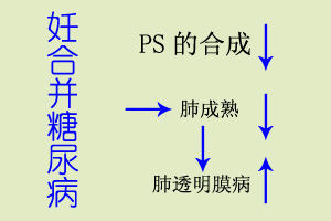 新生儿肺透明膜病