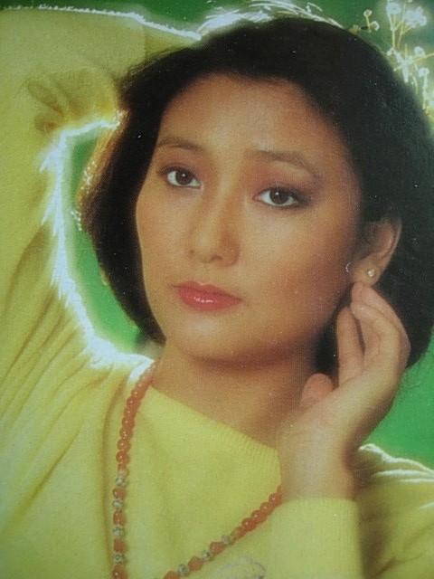  p data-id="gnx4imao27">马敏儿,1960年1月29日出生于中国香港,中国