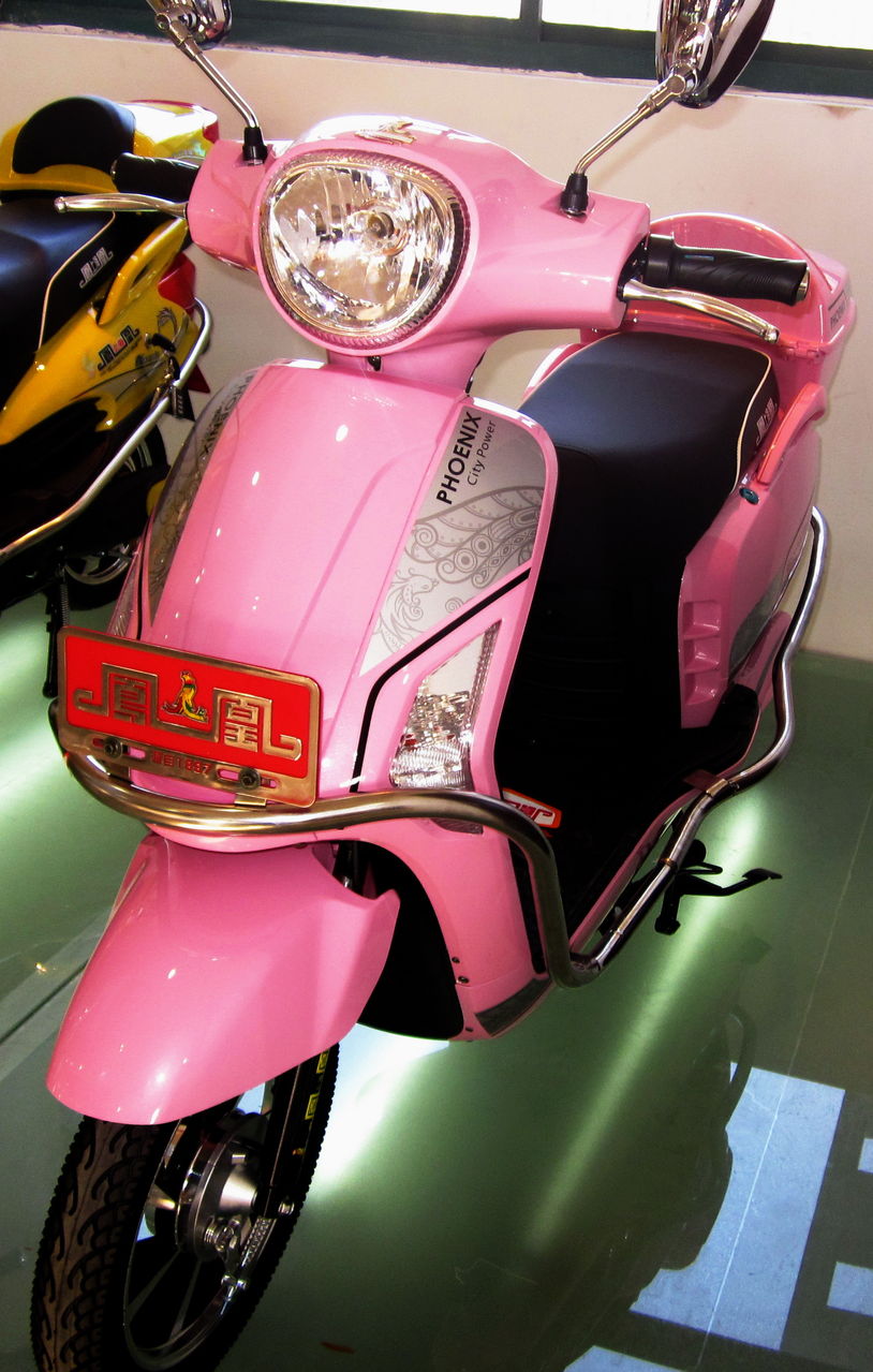 上海凤凰自行车有限公司