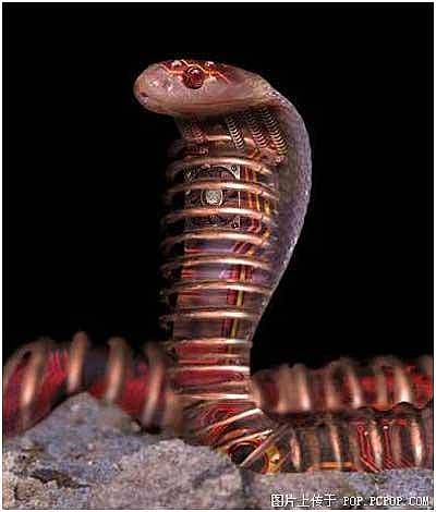  p>《未来世界的动物》是2008年1月 a target="_blank" href="/item