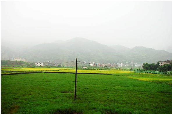  p data-id="gns09x6q5t">临江镇,隶属于重庆市开州区,地处 a target=