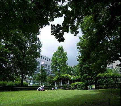 首尔市立大学(图1)