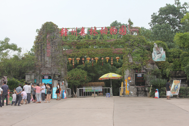  p>赣州森林动物园位于 a href="#" data-lemmaid="2261643">江西省