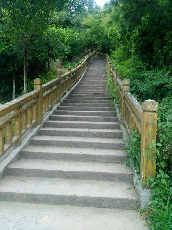  p>南山公园位于江西省赣州市定南县龙神湖东南附近. /p>