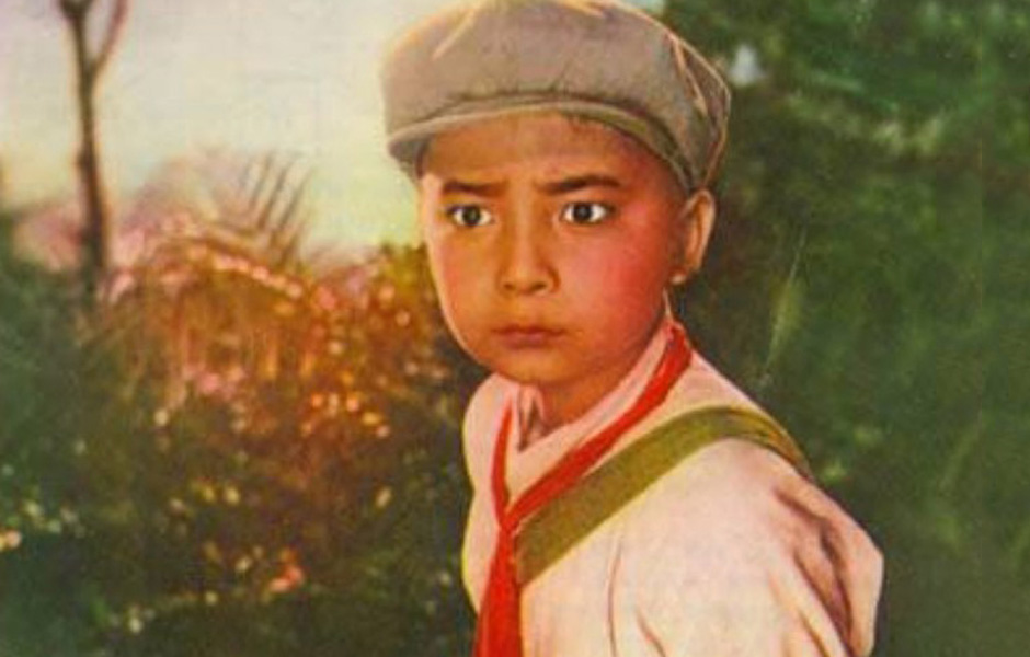闪闪的红星(1dvd)