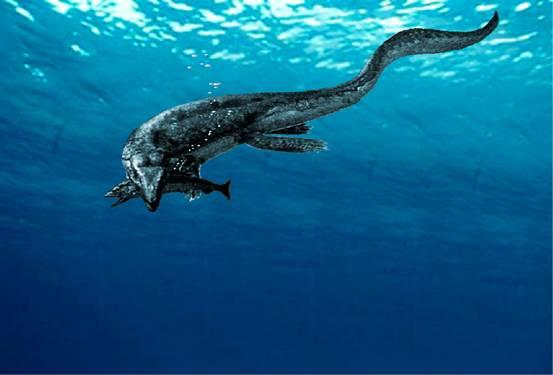  p>三叠纪( a target="_blank" href="/item/英语">英语 /a>:triassic