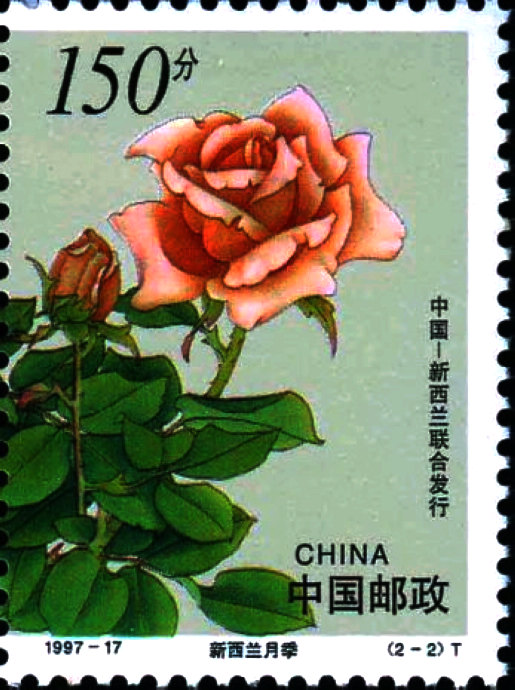 花卉