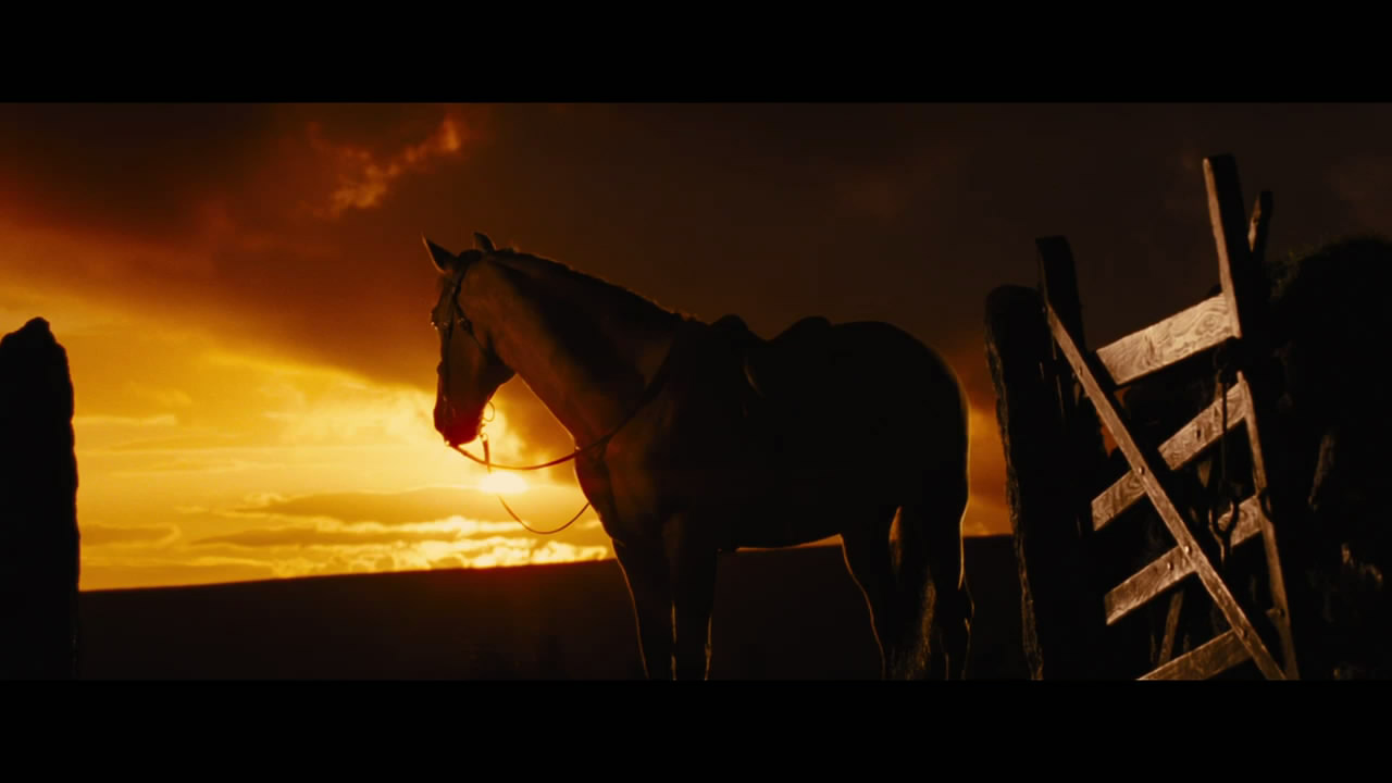 影片《战马》改编自英国桂冠作家 a target=" blank" href=" item